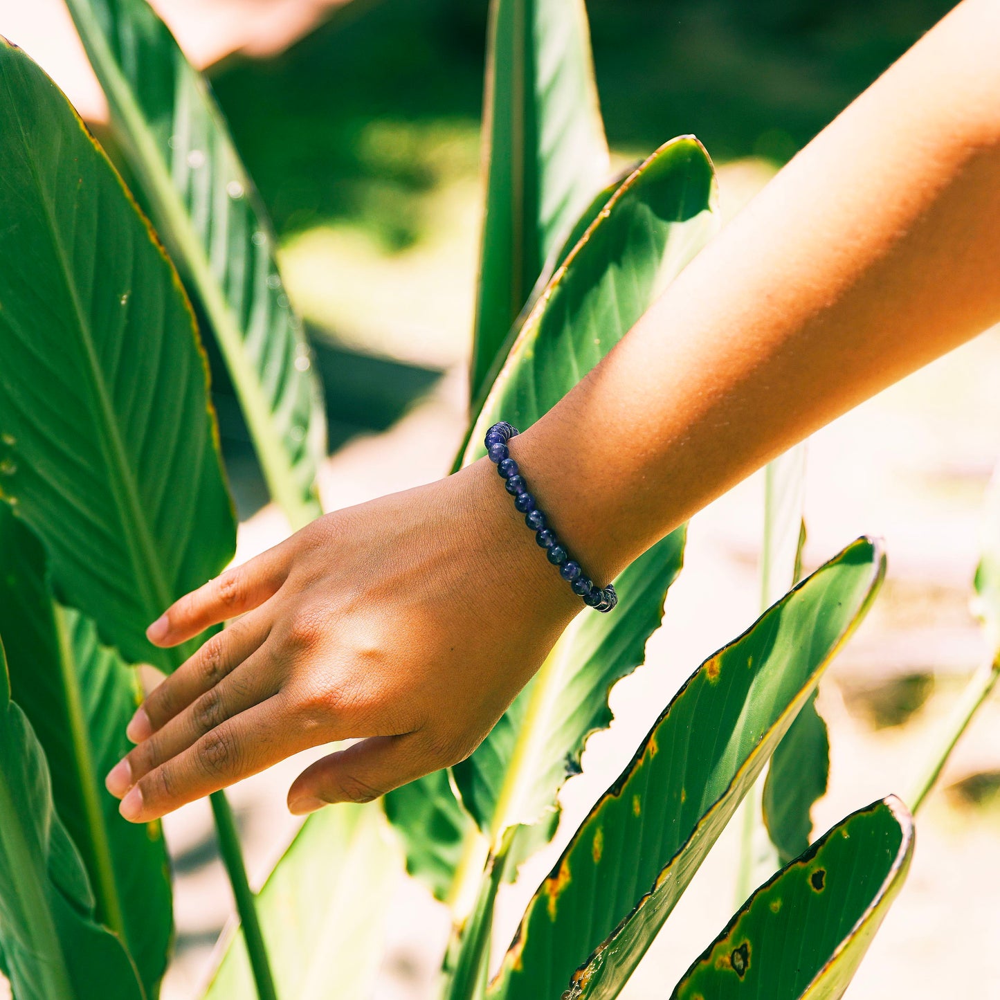 Amethyst Bracelet