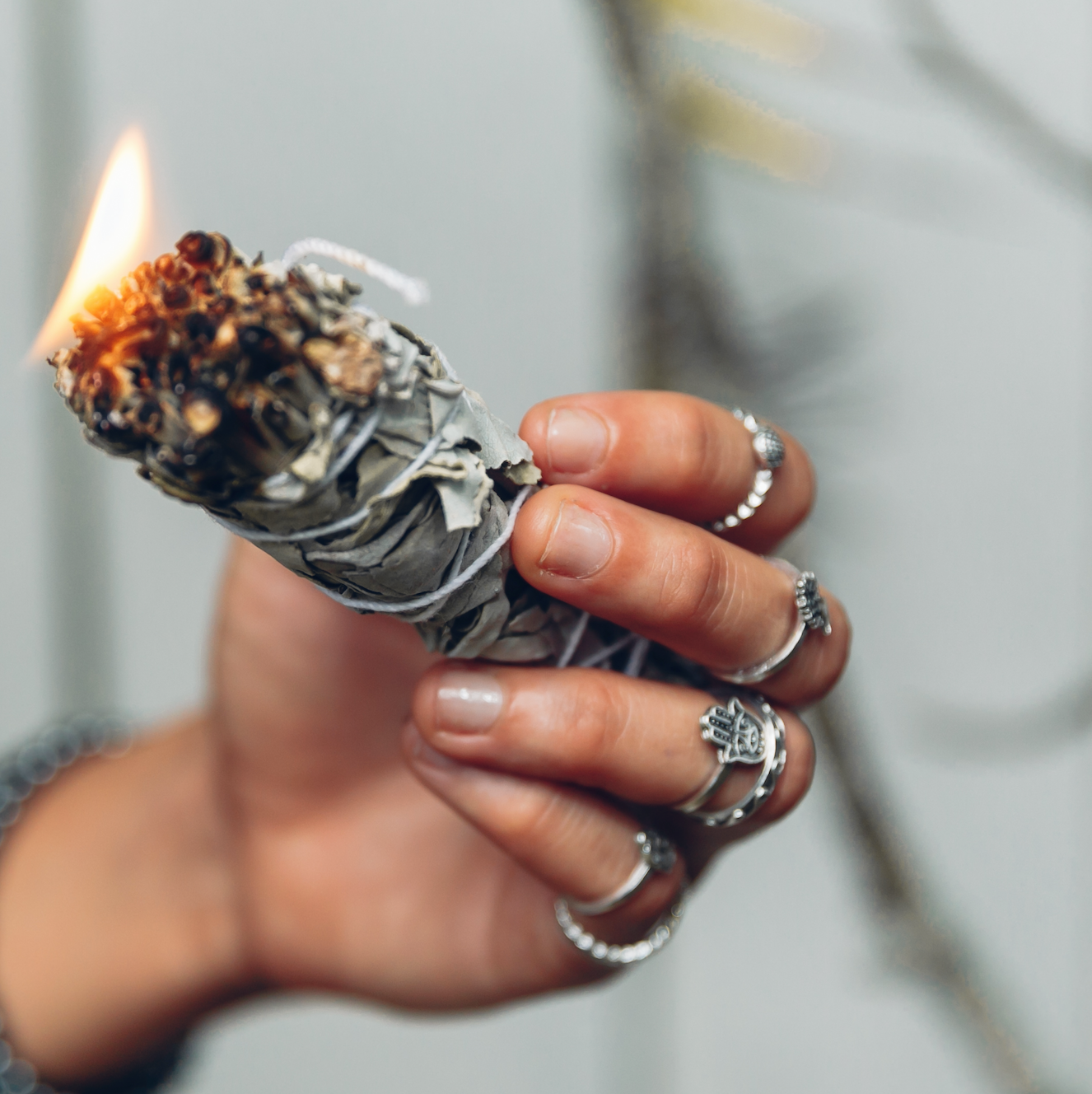 California White Sage Smudging Energy Clearing